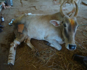 Untitled design (53)