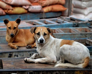 Untitled design (54)