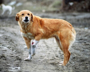 Untitled design (55)