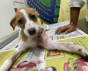 Untitled design (56)