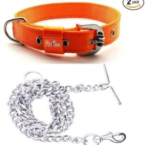 RvPaws Dog Belt Combo of 1 Inch Nylon Collar with Heavy Dog Chain 63 Inch Lengthy Dog Collar Chain (Orange)